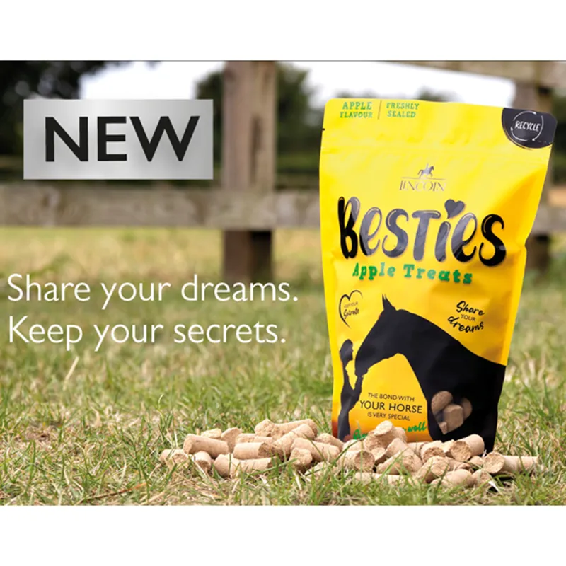 Lincoln Besties Treats - 1Kg-1